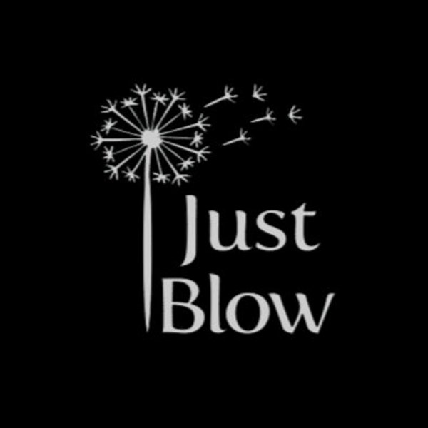 Just Blow decal. Permanent vinyl decal. Perfect for mason jar tissue holders and tissue boxes.