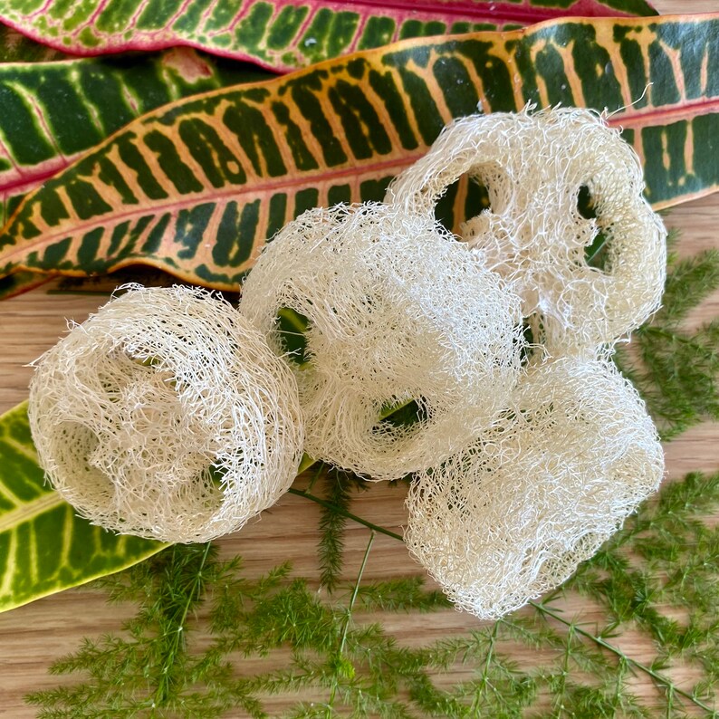 Loofa Slice, Soap Lifter, Shampoo Bar Lift, Soap Saver Pad, Natural