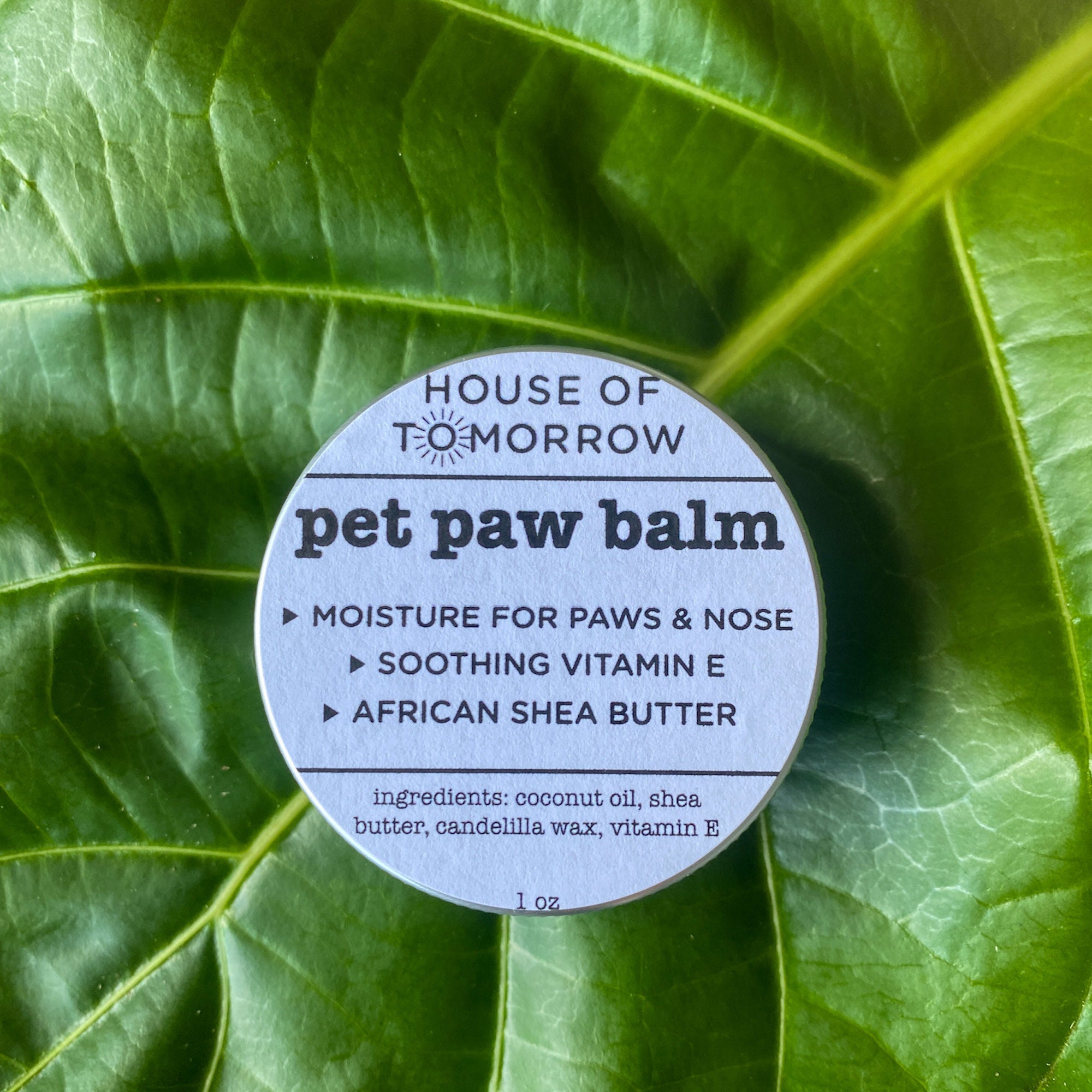 Coconut Oil On Dog Paw Pads Pet Balm Paw Salve Dog Balm With Shea Butter Coconut Oil Vitamin E Pet