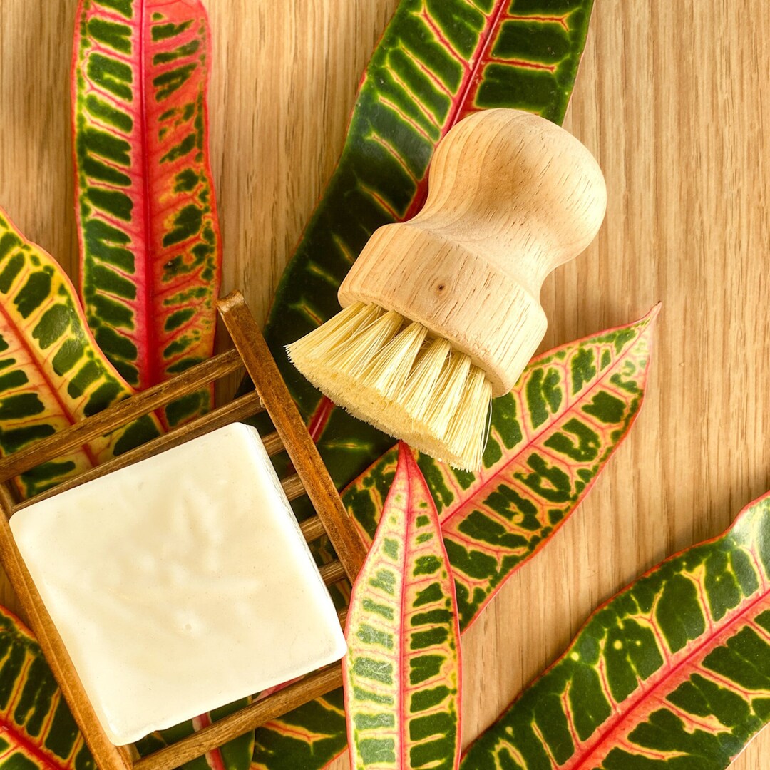 Dish Brush, Eco Friendly Kitchen Brush, Scrub Brush, Dish Washing Brush