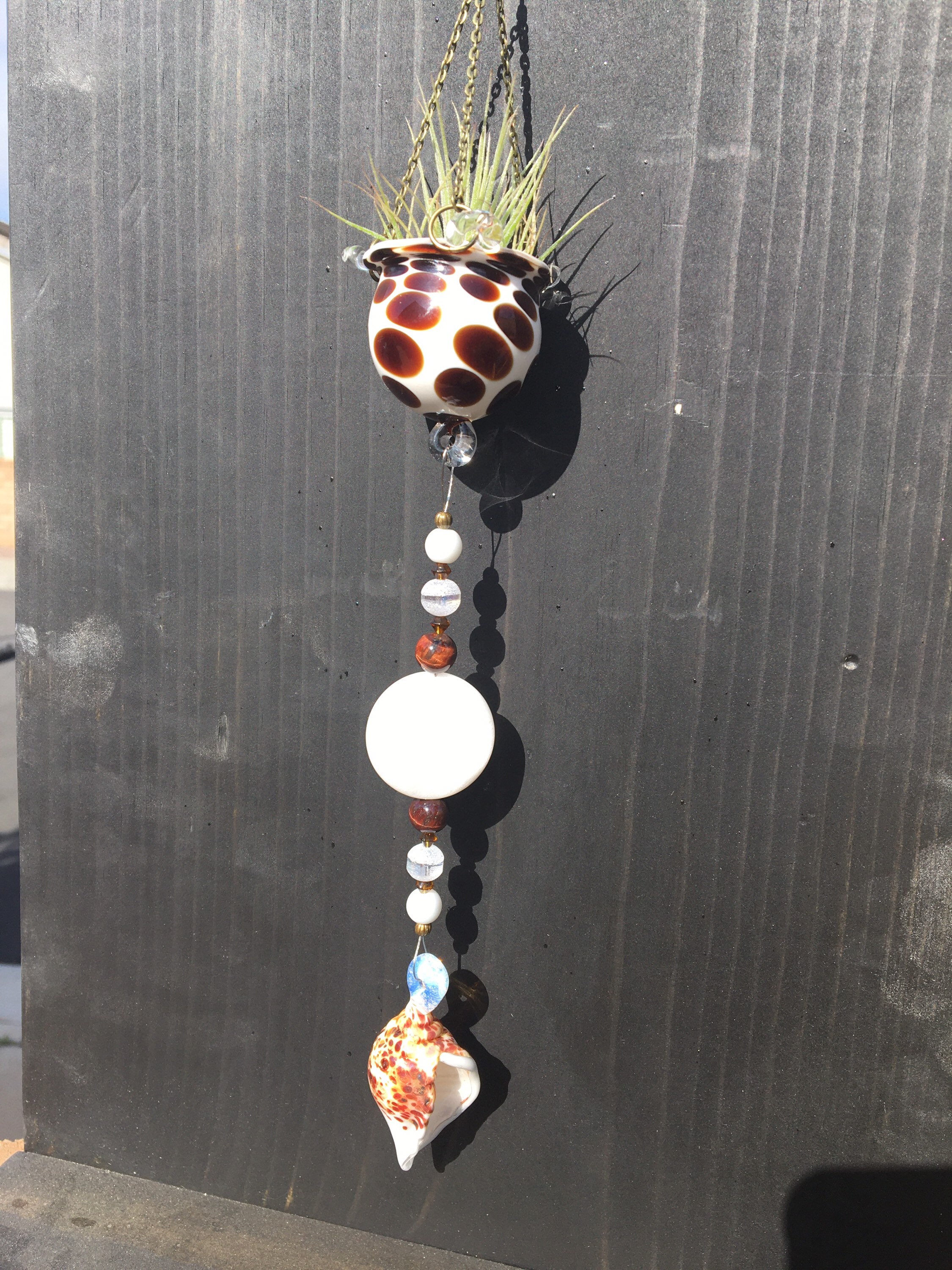 Air Plant Suncatcher Handmade Air Plant Decor Sun Catcher with