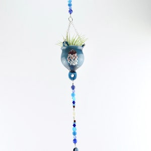 Jellyfish Air Plant Suncatcher - Handmade Air Plant Decor in a Jellyfish Design | Sun Catcher with Handblown Glass | Hanging Air Plants