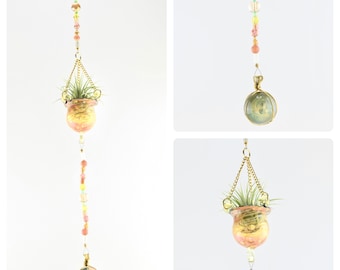 Capteur de soleil pour plantes aériennes - Décoration de plantes aériennes faite main | Capteur de soleil avec verre soufflé | Plante décorative aérienne Tillandsia | Plantes aériennes suspendues