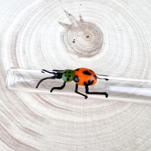 Beetle Glass Straw: Handmade Reusable Straw, Made to Order