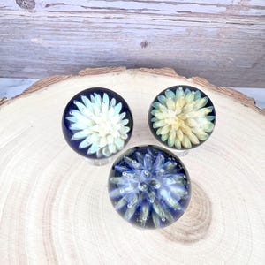 Può includere: Tre sfere d'arte in vetro con motivi floreali. Ogni pezzo ha una base blu scuro e un motivo floreale bianco o giallo. Sono esposte su una superficie di legno chiaro.