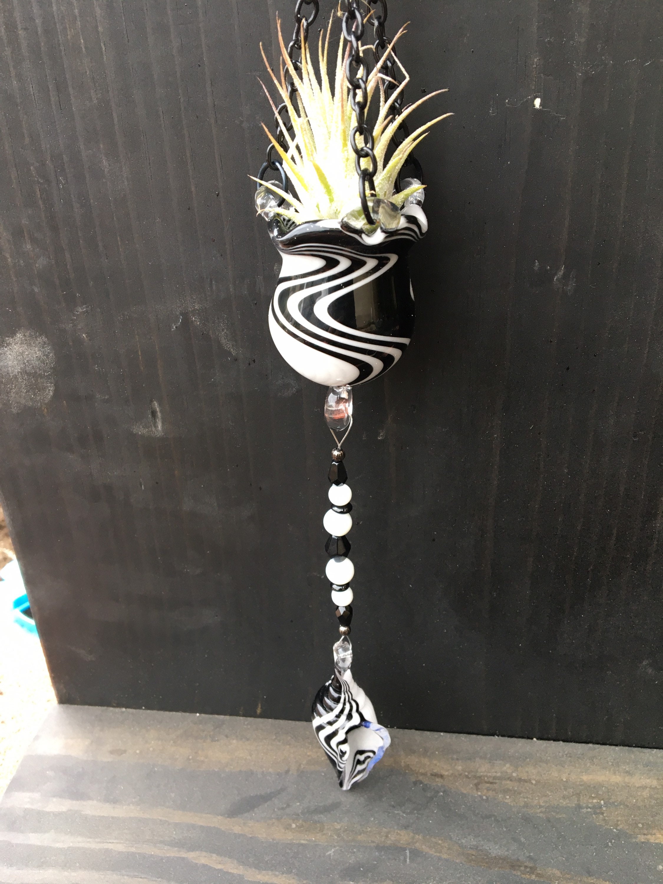 Air Plant Suncatcher Handmade Air Plant Decor Sun