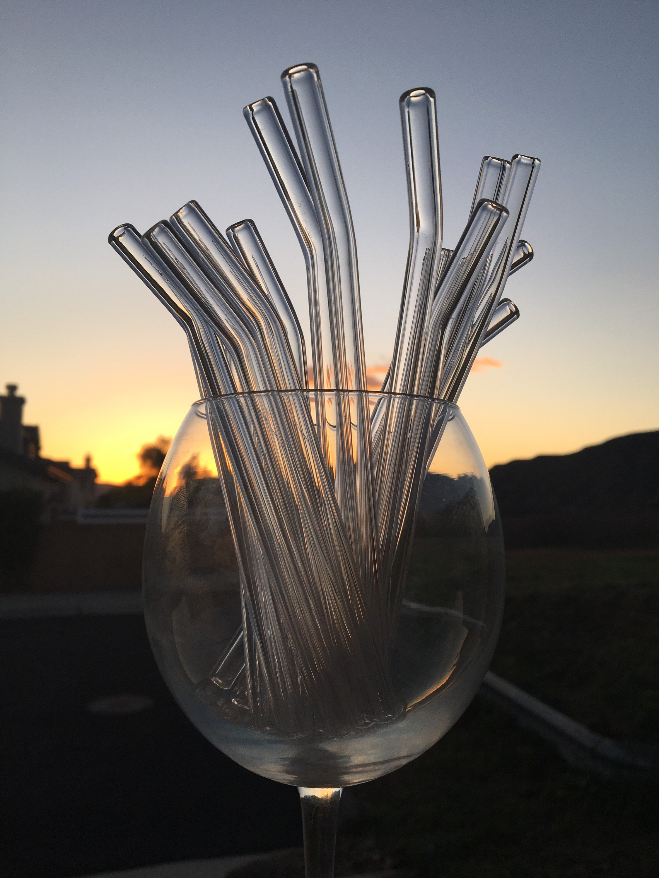 Wild Animal Reusable Glass Drinking Straws Set - GlassSipper