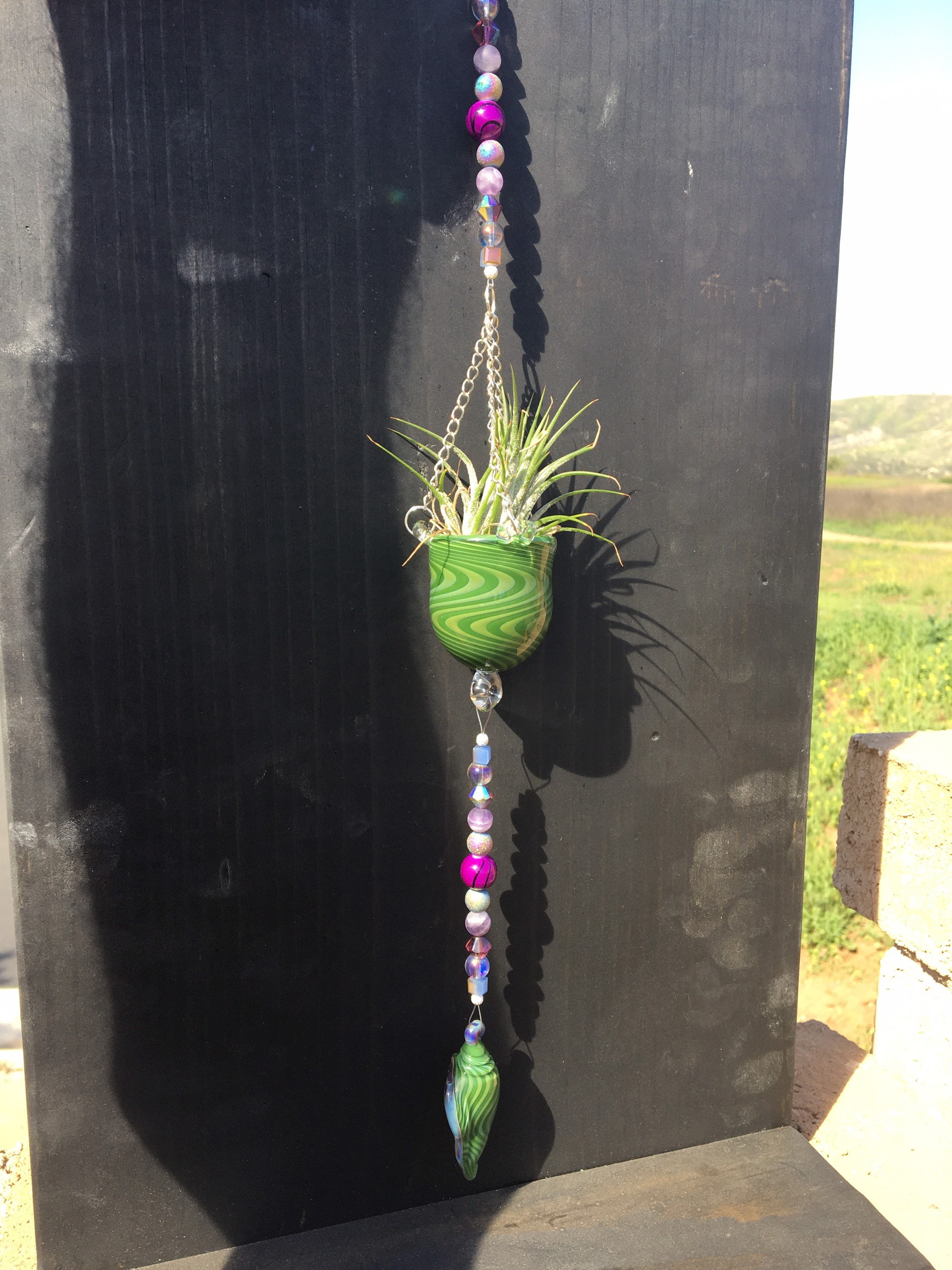 Air Plant Suncatcher Handmade Air Plant Decor Sun Catcher with