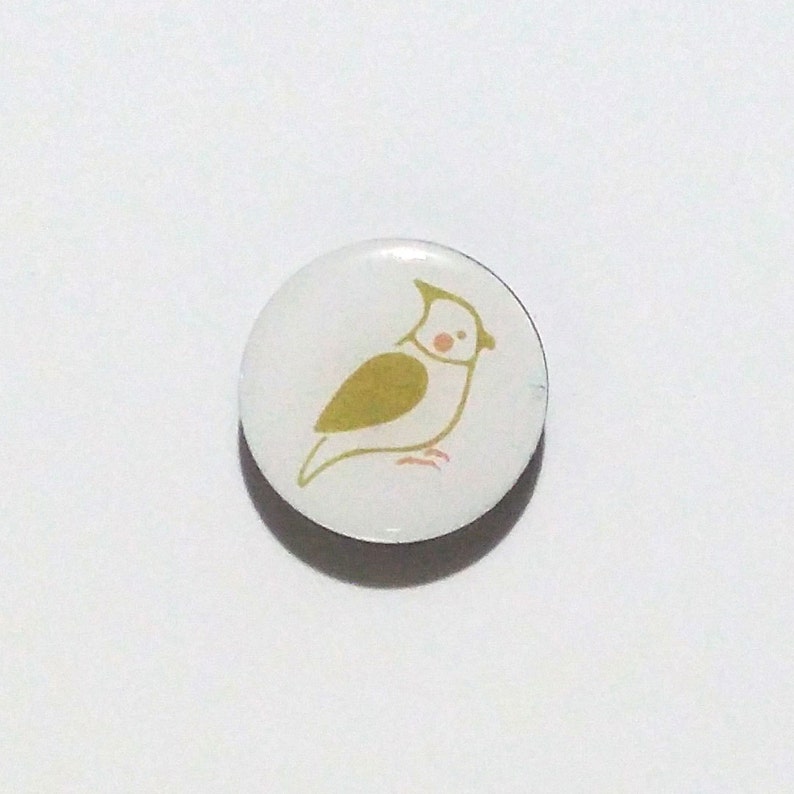 Bird Refrigerator Magnet Bird Fridge magnet Bird Magnet Strong Magnet