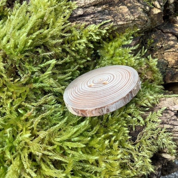 A big wooden button, tree branch button, wood slice from a Spruce, natural buttons for fairy dress, pixie dress or art project