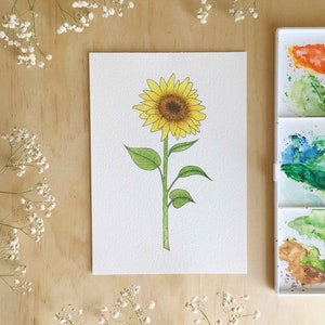 Sunflower Print / Garden Art / Botanical Illustration / Home Decor / House Plants / Dorm Decor / Dorm Wall Art image 1