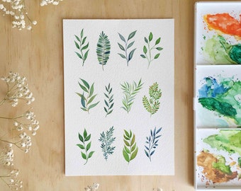 Leaf Study / Cactus Print / Botanical Print / House Plant / Botanical Illustrations / Home Decor / Dorm Wall Art / Housewarming Gift / Boho