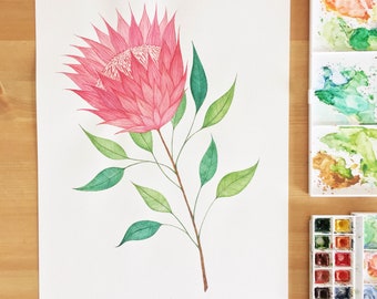 King Protea / Botanical Print / Protea Plant / Botanical Illustration / Home Decor / Australian Plants / Dorm Decor / Dorm Wall Art / Nature