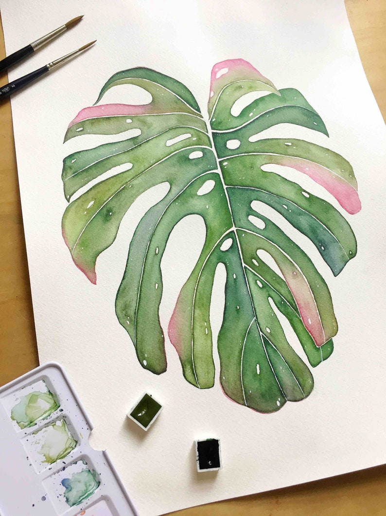 Monstera Deliciosa / Plant Botanical Print / Botanical Illustration / Home Decor / House Plants / Dorm Decor / Dorm Wall Art / Watercolour image 1