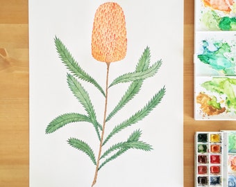 Banksia / Botanical Print / Australian Plant / Botanical Illustration / Home Decor / House Plants / Dorm Decor / Dorm Wall Art/ Watercolour