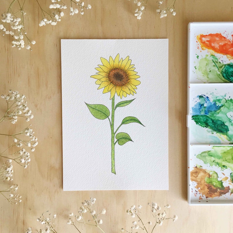 Sunflower Print / Garden Art / Botanical Illustration / Home Decor / House Plants / Dorm Decor / Dorm Wall Art image 1