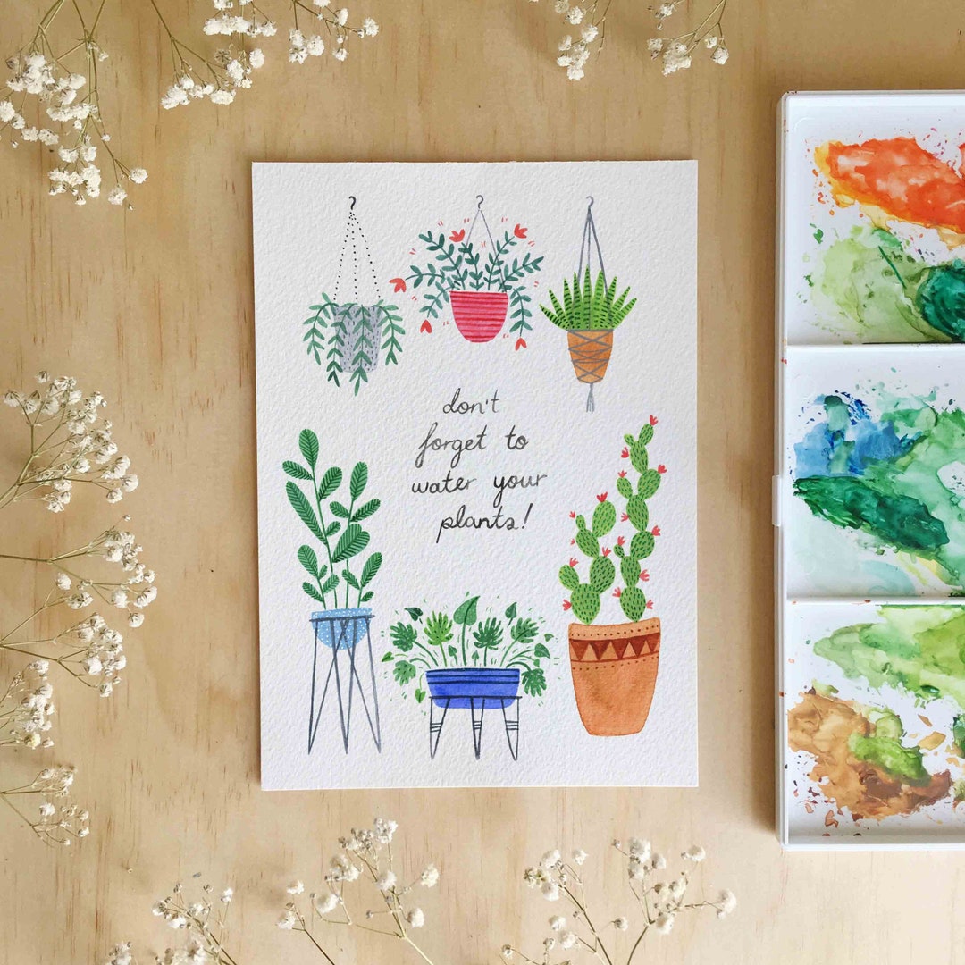 Don't to Water Your Plants / Indoor Plant / Etsy