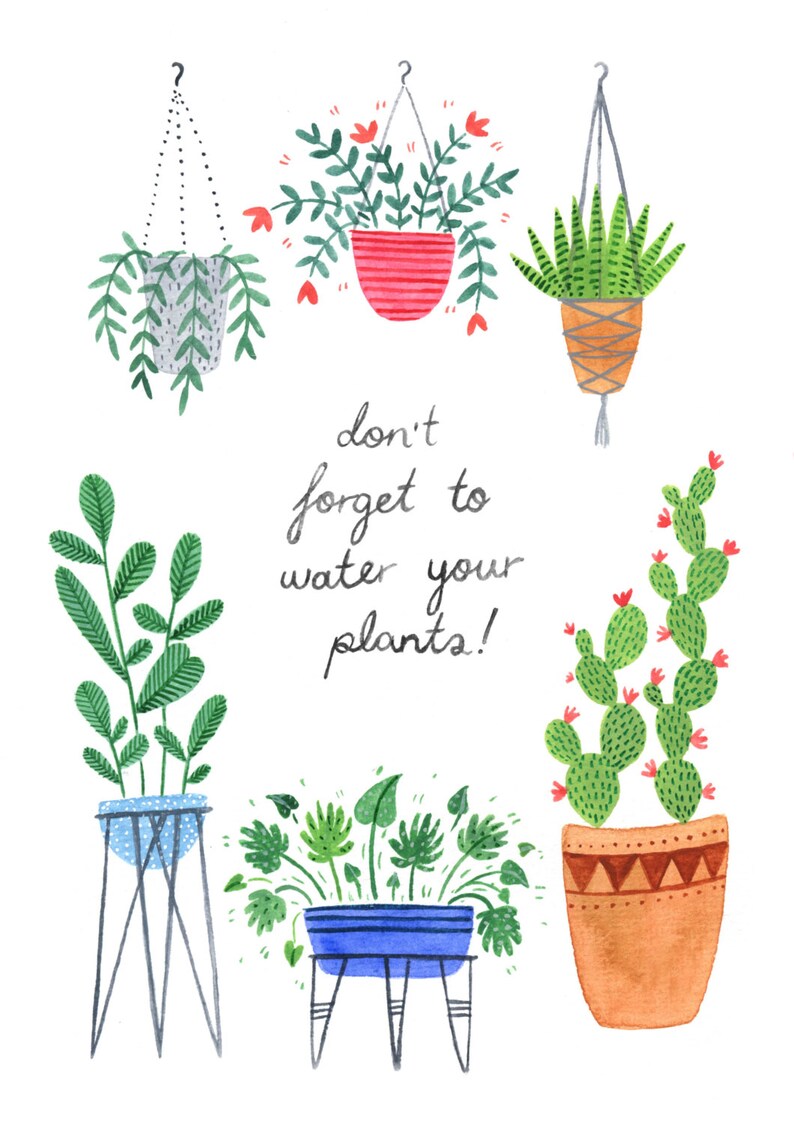 Don't to Water Your Plants / Indoor Plant / Etsy UK