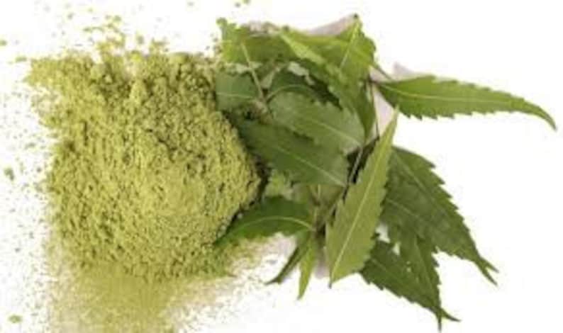 May include: A pile of fine, light green powder next to a cluster of fresh, green neem leaves. The leaves have a serrated edge and are arranged on a white background. The powder appears to be a natural product.