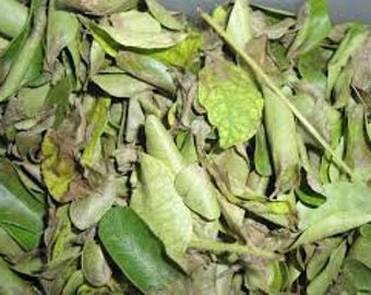 May include: A close-up of a pile of dried curry leaves. The leaves vary in color from bright green to brown, with some showing signs of drying. The image highlights the texture and natural variations of the leaves.