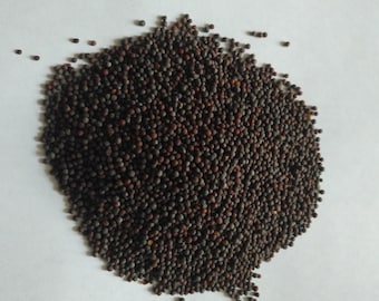 Organic Black Mustard Seed . 1 Pound