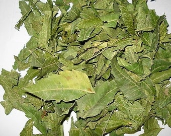 Organic Pure Neem Leaf (Dried) Azadirachta Indica