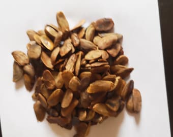 Semilla de Akuamma orgánica.(Picralima Nitida)
