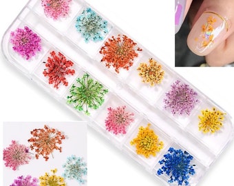 Natural pressed flower Minoan lace for nail art, resin art