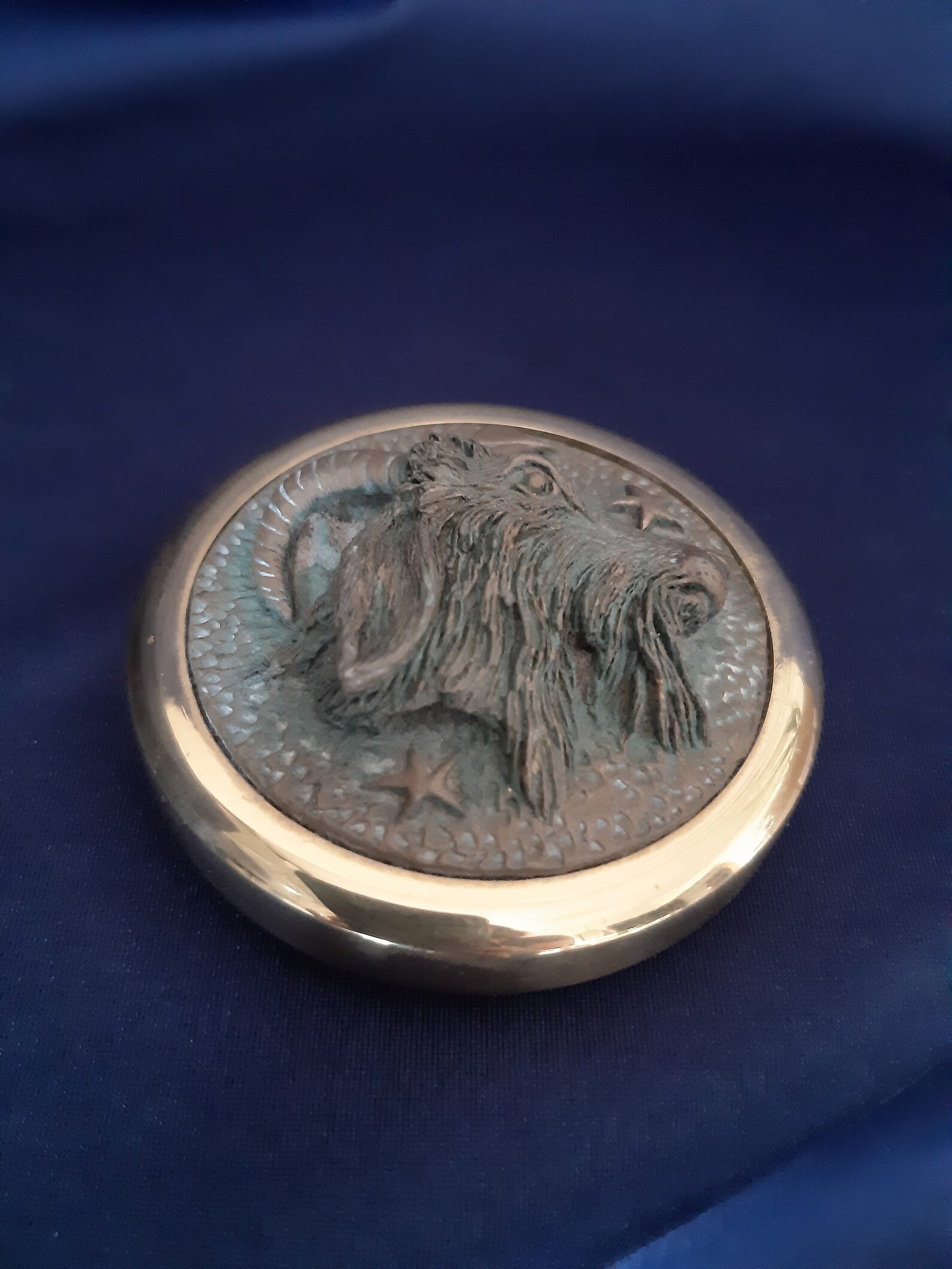Paperweight Stuart Houghton Zodiac Paperweight Brass Etsy