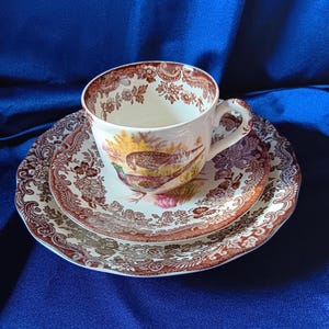 Puede incluir: Un juego de taza y platillo de té marrón y blanco con un diseño de faisán. La taza y el platillo tienen un patrón floral marrón y blanco con un borde dorado.