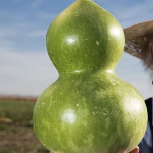 Organic Bird House Gourd Seeds (Lagenaria siceraria)