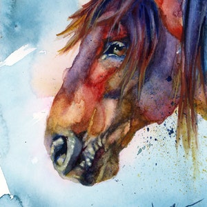 Cheval rouan - Natalie Yarema, carte de voeux, impression d'art, cheval, cheval sauvage, rouan, aquarelle, peinture, animal