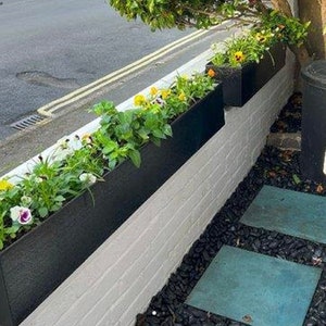 May include: Black rectangular planters overflowing with colourful pansies and green foliage. The planters sit on a white brick wall, with a black gravel bed and square stepping stones. The flowers are yellow, white and purple.