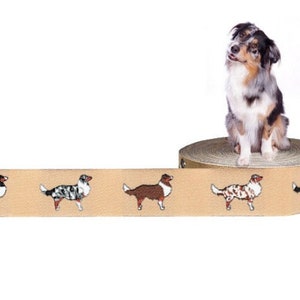 1m Australian Shepherd woven dog ribbon, beige, 20mm wide