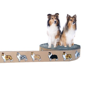Op de afbeelding: Een rol bruin lint met een herhalend patroon van kleurrijke Shetland Sheepdogs. Twee Shetland Sheepdogs staan op de rol.