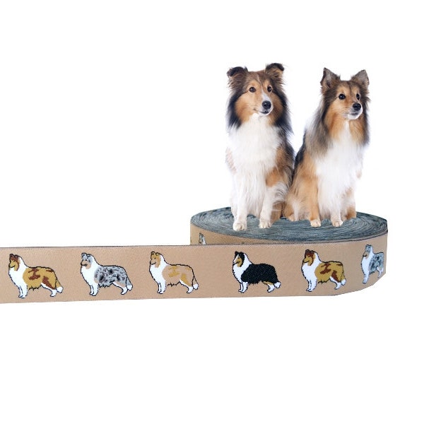 Sheltie / Collie Webband Hund, Borte Hunde, beige, 20mm, 1 Meter