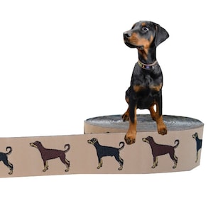 Nastro cane "Doberman" bordo, beige, 24 mm, cani, 1 metro