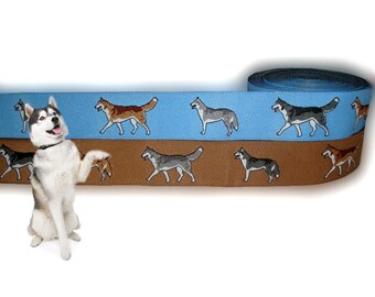 Perro de cinta Husky, borde, 23 mm, beige, perros, Husky Siberiano, 1 metro