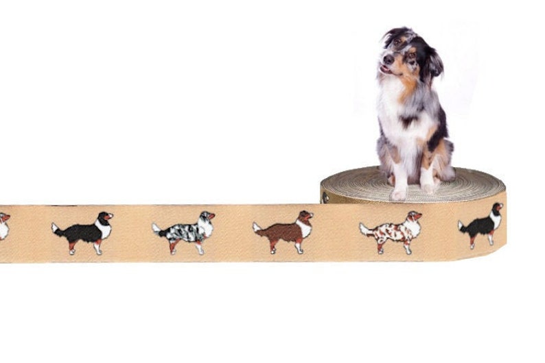 Australian Shepherd Webband Hund, Borte, 20mm, beige, Hunde, Aussieborte, 1 Meter Bild 1