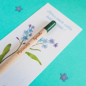 Crayon à planter Myosotis - Cadeau fin d’année scolaire maîtresse, ATSEM, nounou - Carte Merci fleurie à offrir