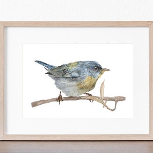 May include: Watercolor painting of a blue and yellow bird perched on a branch. The bird has a blue head and back, a yellow breast, and a long tail. The branch is brown and has a few leaves.