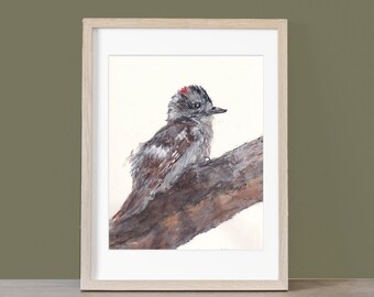 Original Watercolor Painting:  Baby Woodpecker Entering the World