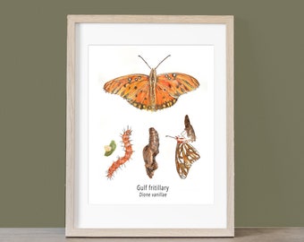 Gulf Fritillary Butterfly Wall Art, Life Cycle original watercolor painting by artist Joy Neasley as part of her Tennessee Butterfly Series