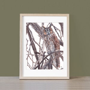 Owl Giclee Fine Art Print Created From Original Hand-painted Watercolor Painting By Joy Neasley