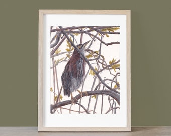 Original Painting:  Green Heron Water Bird in Spring Hand-painted Watercolor Wall Art