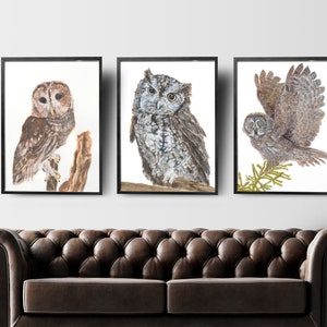 May include: Three framed watercolor paintings of owls. The first owl is brown and white with its wings folded. The second owl is gray and white with its wings folded. The third owl is gray and white with its wings spread. All three owls are perched on branches.