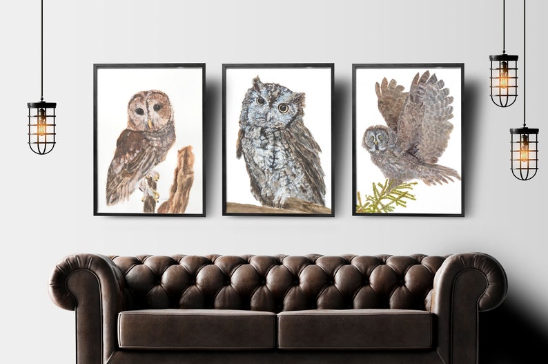 May include: Three framed watercolor paintings of owls. The first owl is brown and white with its wings folded. The second owl is gray and white with its wings folded. The third owl is gray and white with its wings spread. All three owls are perched on branches.