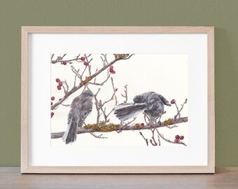 Original Painting:  Spring Preening Mockingbirds Hand-painted in Watercolor