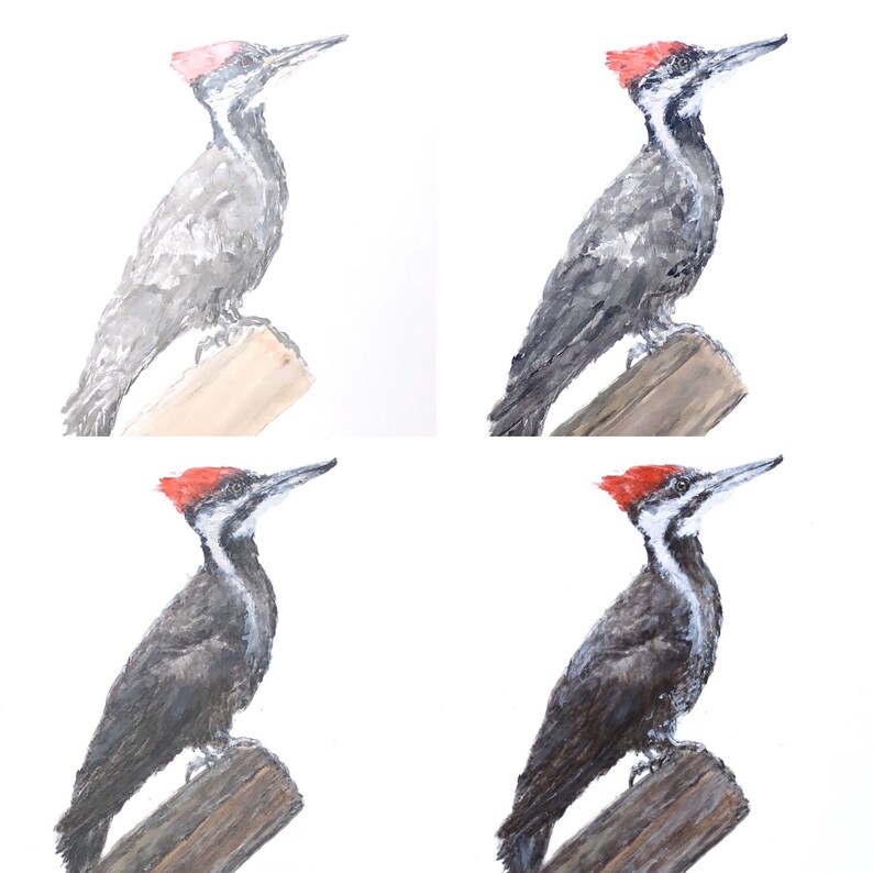 Pileated Woodpecker Watercolor Fine Art Print from an Original | Etsy