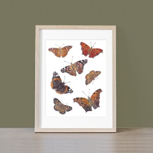 Vibrant Orange Fall Butterfly Art, Watercolor Autumn Wall Decor, Fine Art Print from an Original Painting by artist Joy Neasley